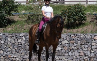 Top 10 Advices for Holistic Horsekeeping