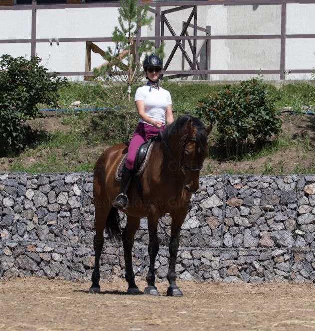 Top 10 Advices for Holistic Horsekeeping